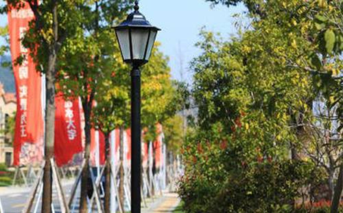 装工布江达庭院灯避坑指南：庭院路灯防雷接地要点